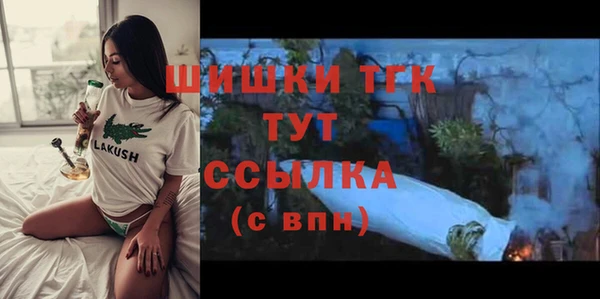 ECSTASY Липки
