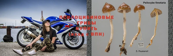 ECSTASY Липки
