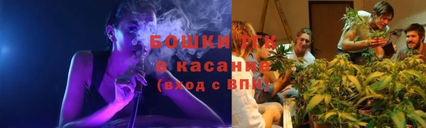 шишки Лиски