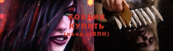 шишки Лиски