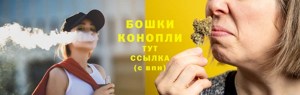 ECSTASY Липки