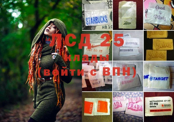 ECSTASY Липки
