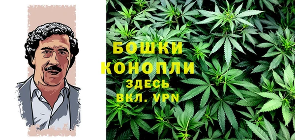 шишки Лиски